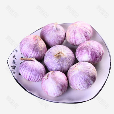 紫皮大蒜